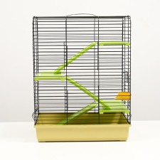 Cell 