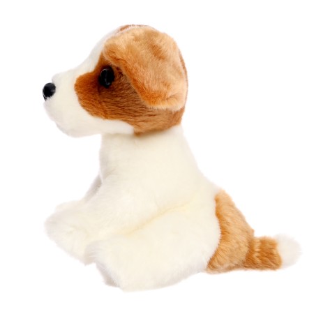 Soft toy "Dog Jack-Rassel", 20 cm-2