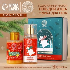 New Year. A gift set of cosmetics New Year, shower gel 100 ml and body mist 75 ml