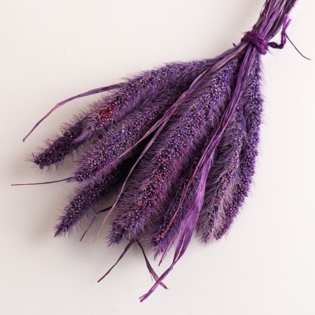Set of dried flowers "Setarium", ban 7 pcs, length 55-65 (+/- 6 cm), purple-2