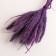 Set of dried flowers "Setarium", ban 7 pcs, length 55-65 (+/- 6 cm), purple