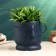Kashpo "The pot that survived" 14x14x13cm, blue