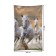 Decorative panel with photo printing "Running horses", vertical, size 100x150 cm
