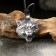 Amulet-cords, Totem "Wolf sign" No. 48, metallic