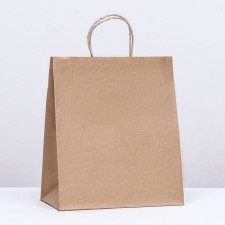 Craft bag without printing, round handle 24 x 14 x 28 cm, set 10 pcs 2492931