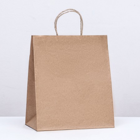 Craft bag without printing, round handle 24 x 14 x 28 cm, set 10 pcs 2492931