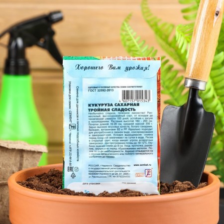 Sugar corn seeds "Triple sweetness", 5 g-1