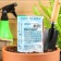 Sugar corn seeds "Triple sweetness", 5 g