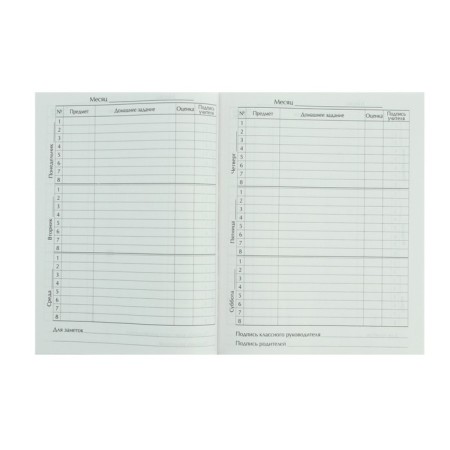 Diary for grades 1-4, "princess", solid cover 7BC, glossy lamination, 48 sheets-5