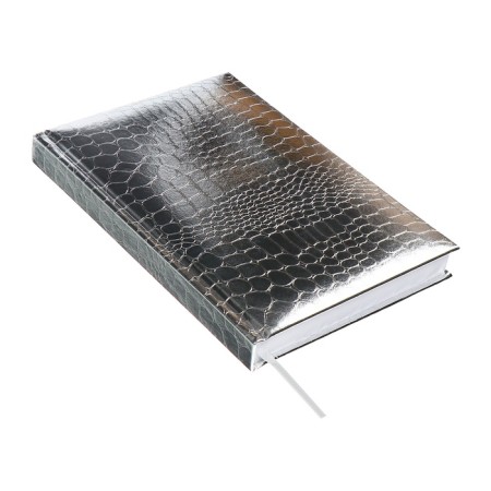 Dated diary 2025 A5 168 sheets, Attomex. Arkona, solid cover, boomvinyl with foam, liesse, block 70, gray-2