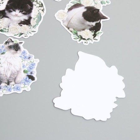 Stickers for creativity "Cats in colors" 8x8 cm set 45 pcs 0.5x14.5x9.4 cm-2
