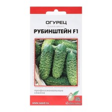 Cucumber seeds 