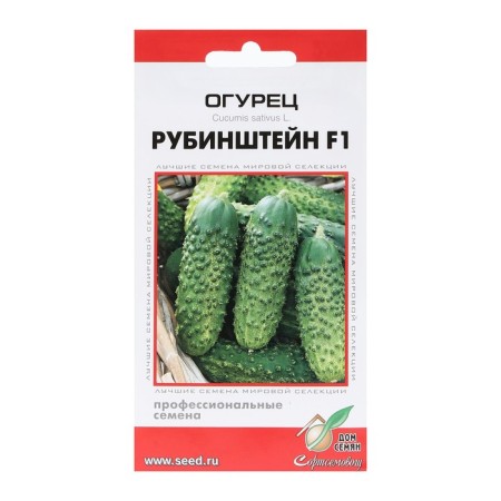 Cucumber seeds "Rubinstein", F1, 8 pcs