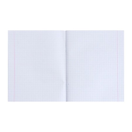 Notebook of 48 sheets in the Calligrata “Foxes” cage, covered paper cover, block No. 2, whiteness 75% (gray sheets), mix-1