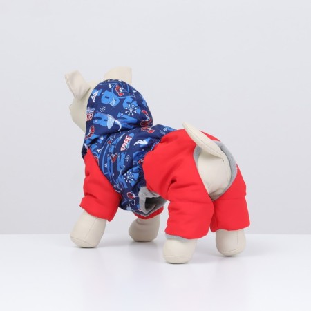 Zimovye jumpsuit for animals "Skier", M (DS 24-26, Osh 26-28, OG 36-38 cm), Mix-3