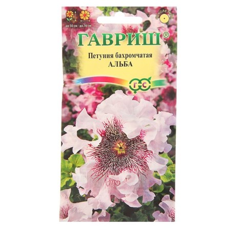 Flowers of Petunia "Alba" fringe, o, test tube, 7 pcs.-4