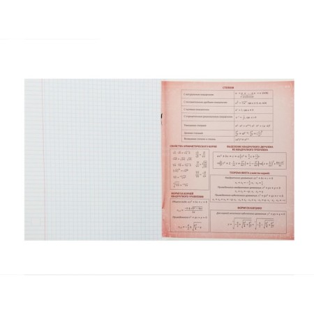 Substantial notebook calligrata "photo", 48 sheets in the cage of algebra, with reference material, cover coated cardboard, offset block-2