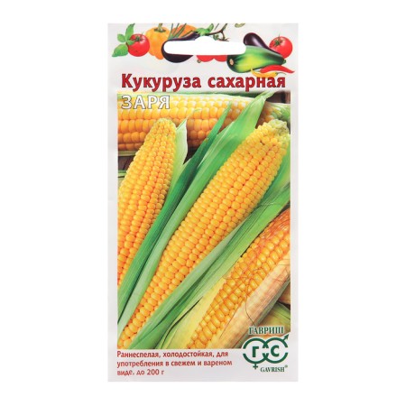 Corn seeds "Dawn", 5 g