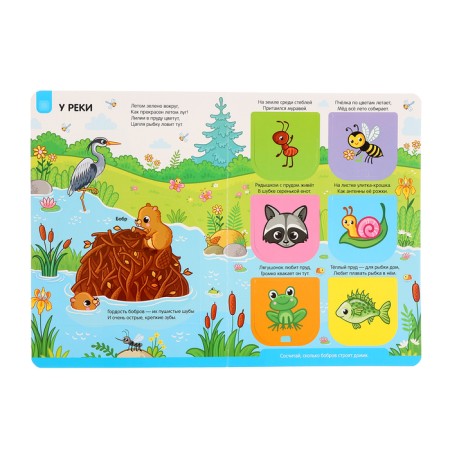 Play and Learn "Forest"-6