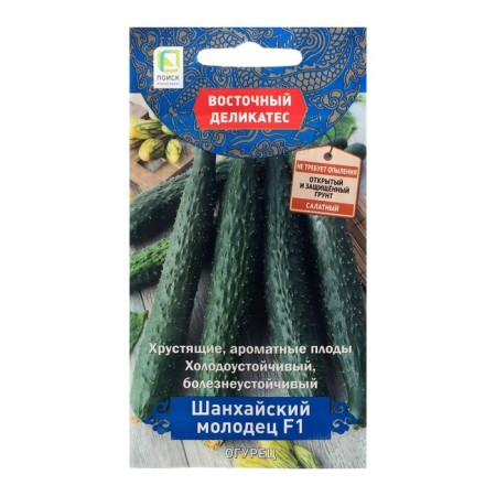 Shanghai well done cucumber seeds F1, parthenocarpic, 5 pcs