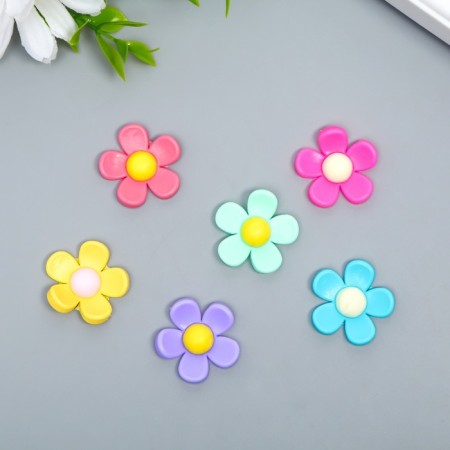 Decor for creativity rubber "Little chamomile" set 15 pcs mix 2.5x2.5 cm