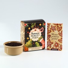 Set: tea + chocolate 