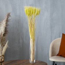 Dry Colossus of wheat, set 50 pcs., Yellow color