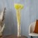 Dry Colossus of wheat, set 50 pcs., Yellow color