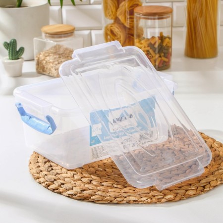 Food container Ricco, 4.5 l, 32 × 20 × 12 cm, rectangular, transparent color, blue-2