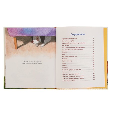 Smart dog Sonya. Usachev A.A.-2