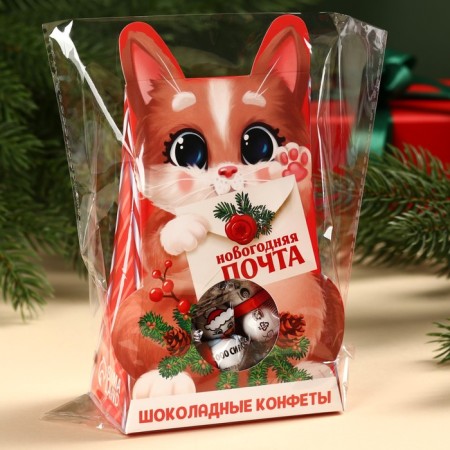 Gift chocolate sweets "New Year's Post", 150 grams-5