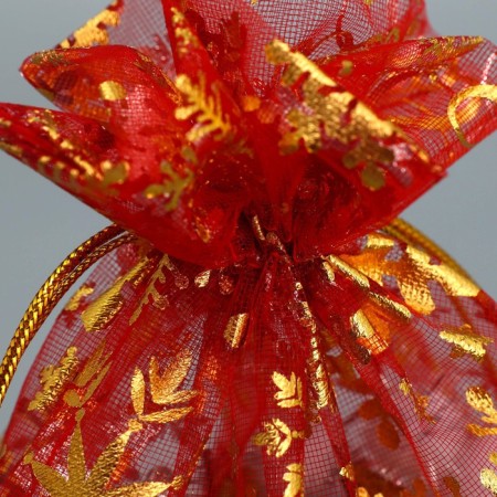 Bag gift organza “Happy New Year!”, 16 x 24 cm +/- 1.5 cm, New Year-4