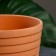 Flower Pot "RIF" Terracottus, 3.5l