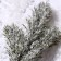 Decor "spray with snow", size 1 pc. - 23 cm