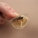 Bag staple 4.8 × 3.5 cm, gold color