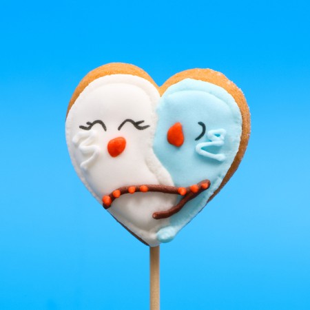 Vanilla mini-flood on a stick "Birds" 15 g-3