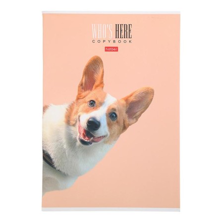 A4 notebook, 96 sheets in the cage "Who is here?", Cover coated cardboard, matte lamination, offset block, mix-3