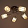 Svetogor chandelier 59091 5x60W chrome/black