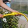 The coupling is transitional, for hoses 1/2 "(12 mm) - 1" (25 mm), cane, plastic
