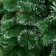 Cedar "overflow" 150 cm D of the lower tier 90 cm D needles 10 cm 152 branches