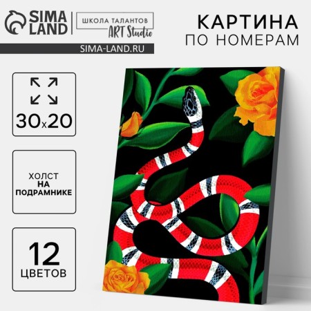 Picture on numbers on a canvas with a subframe "Red Snake", 30*20 cm