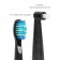 Pioneer TB-1011 electric toothbrush, children, 5 interchangeable nozzles, black