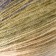 Yarn "Angora Gold Batik" 20% wool, 80% acrylic 550m/100g (1893)