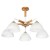5 lamps