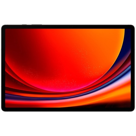 Samsung Galaxy Tab S9+ SM-X810 12GB/256GB graphite tablet-1