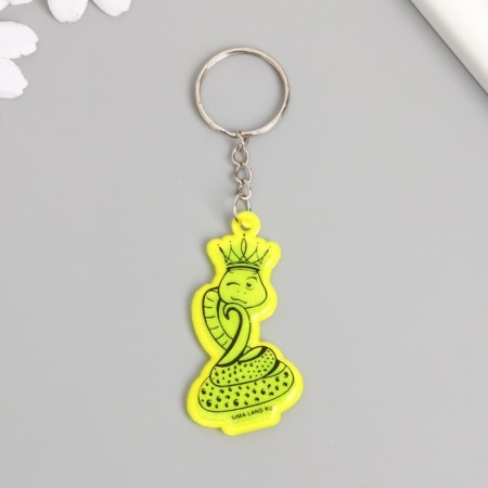 A plastic key a reflective "snake in the crown" 5.5x3.2 cm-2