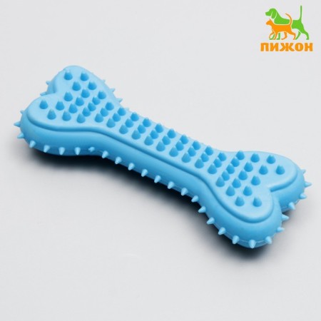 Chewing toy cast "bone for massage", 11 x 4 x 2 cm, blue