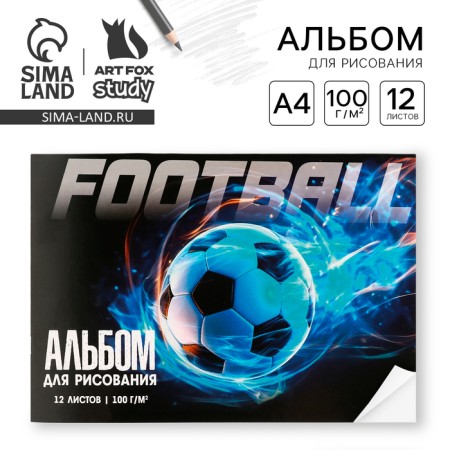 Album for drawing on the A4 paperwork, 12 sheets "Football"