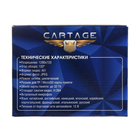 DVR Cartage Premium, 2 cameras, HD 1080P, IPS 4, review 120 °-10