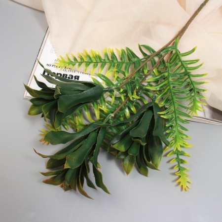 Bouquet "Platicurium and Fern" 40 cm